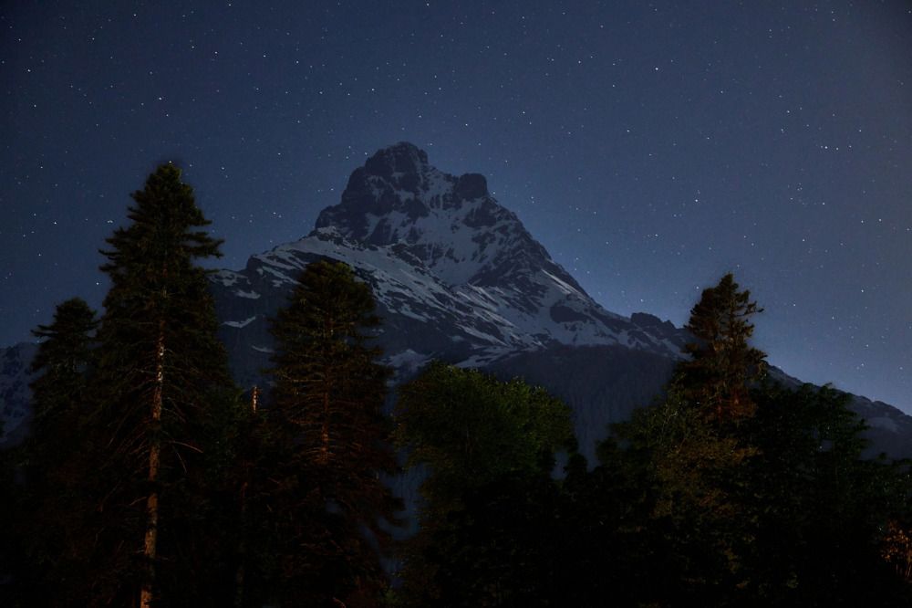 Фотография автора Тамара Степчева