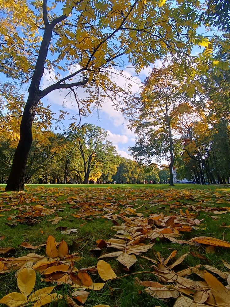 Осенние прогулки