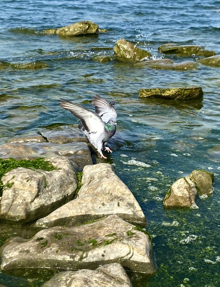 Photograph by Фарида