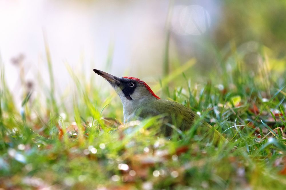 Photograph by Коркин Вадим