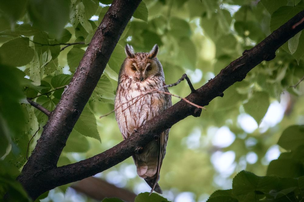 Photograph by Коркин Вадим