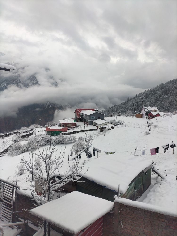 Photograph by BHUPENDRA LODHI