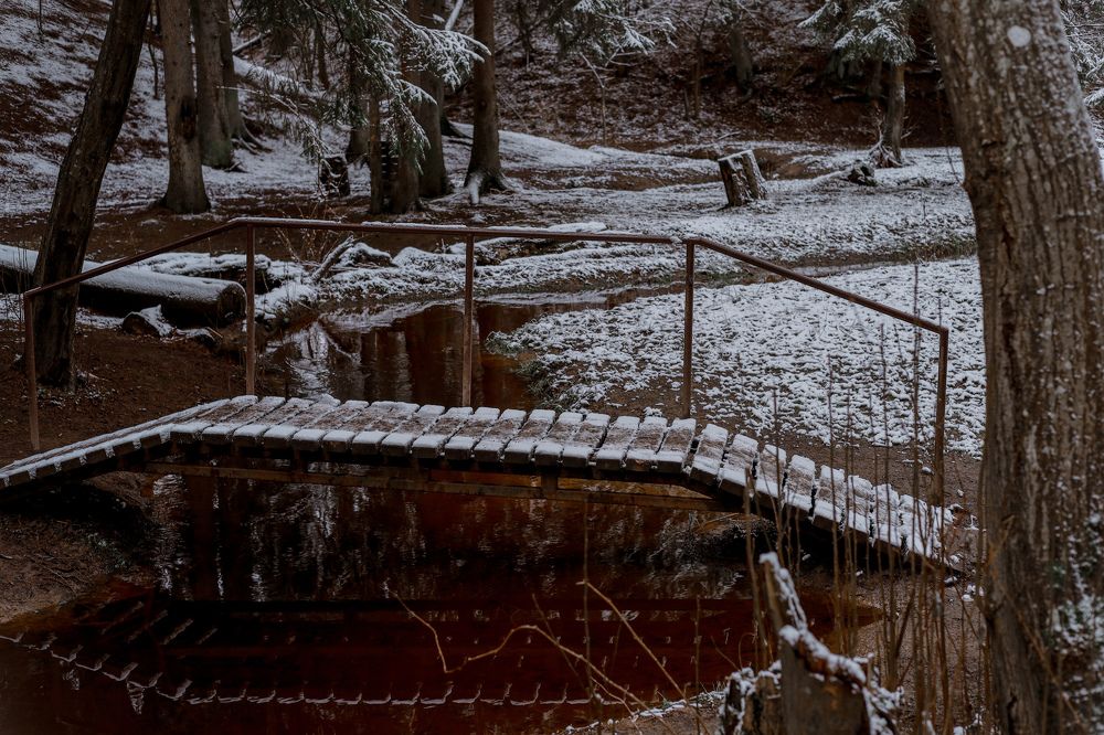 Photograph by Светлана Фоменко