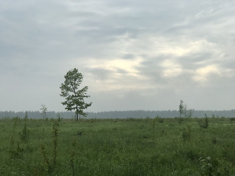 Photograph by Артур Григорян