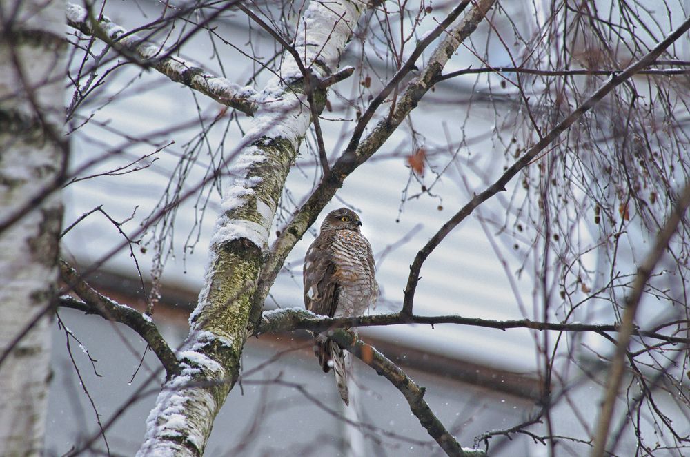 Photograph by Ольга Еремеева