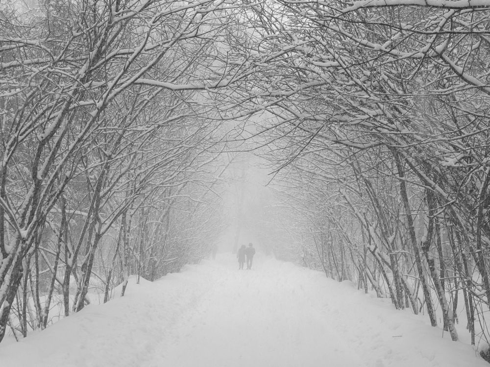 Photograph by Павел Одинец