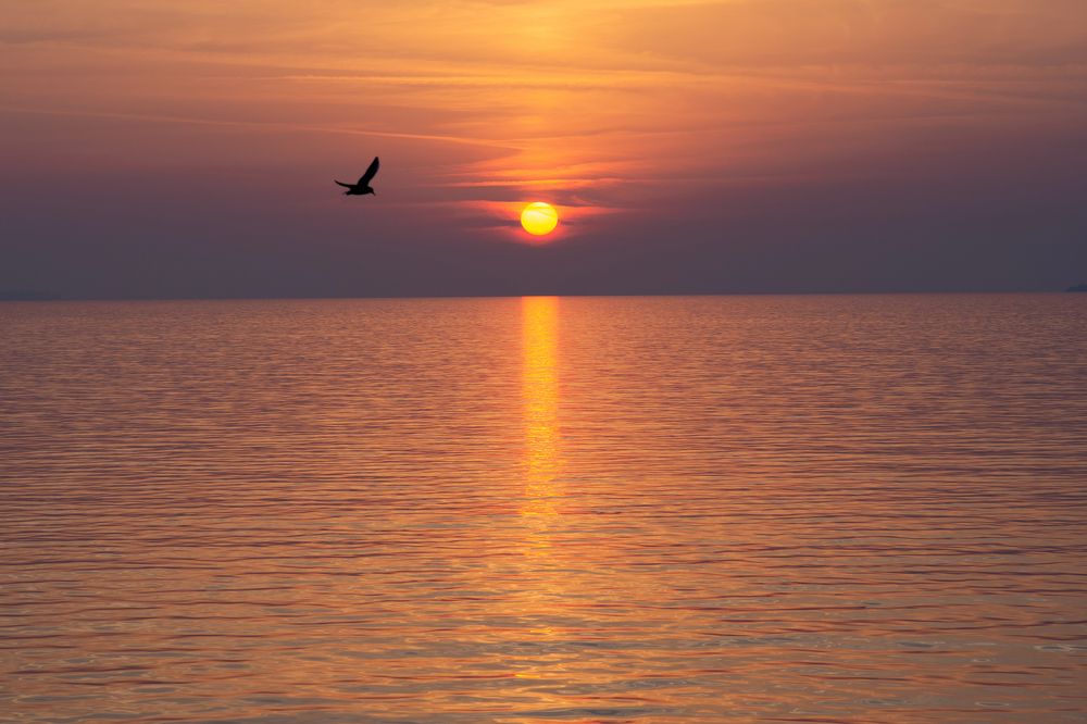 Фотография автора Наталья Кудряшова