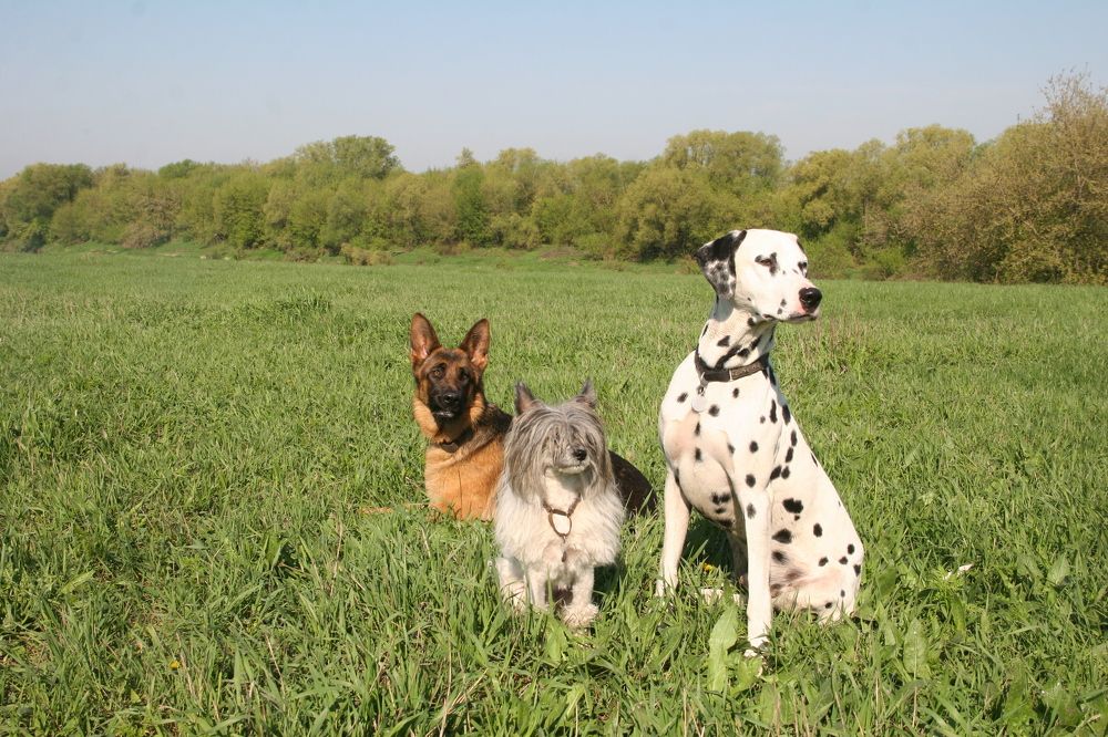 Photograph by Евгения Осипова