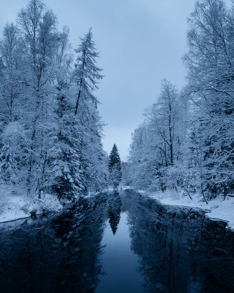 Photograph by Евгений Краснов