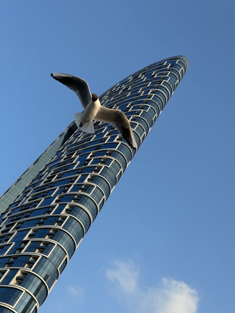 Photograph by Анастасия Конина