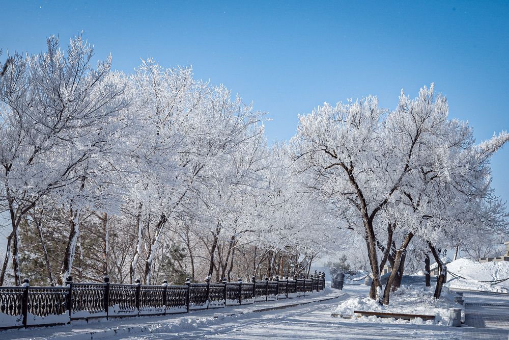Фотография автора Игорь Чураков