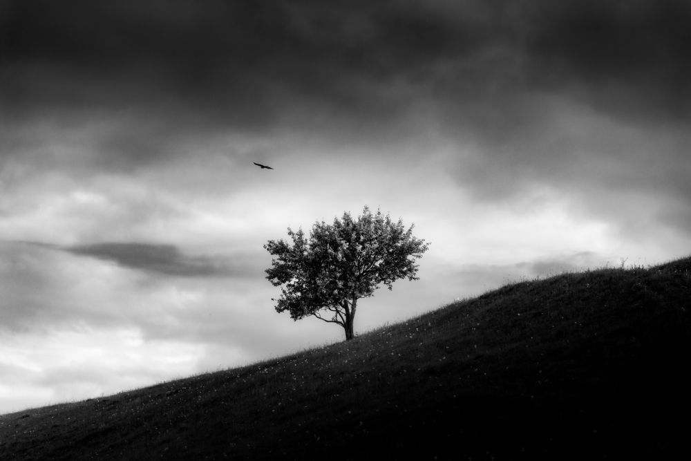 Photograph by Alexander Ornatskiy