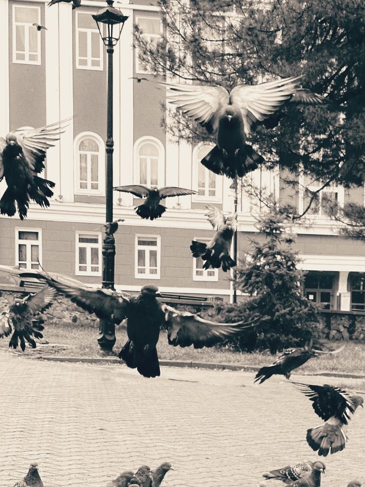 Photograph by Анастасия Конина