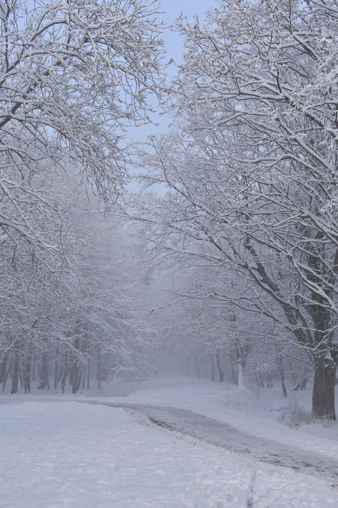 Фотография автора Наталья Кудряшова