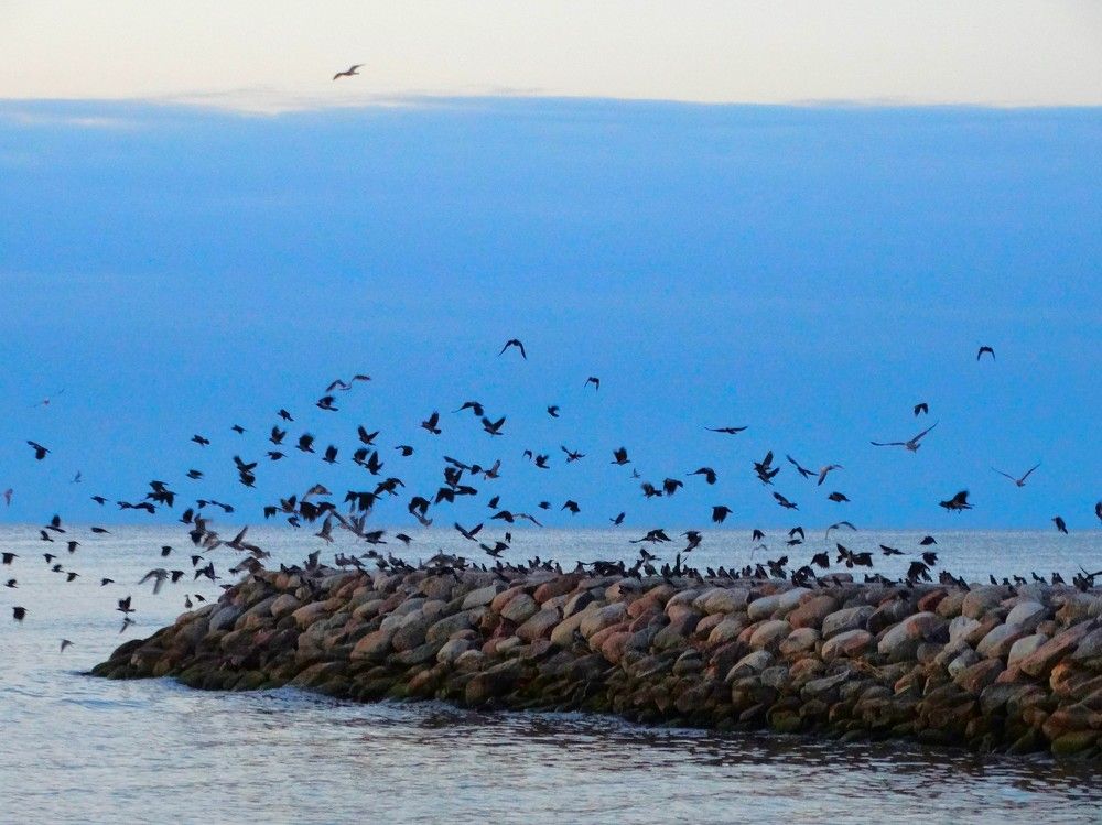 Photograph by ILONA OTRUTSKAYA