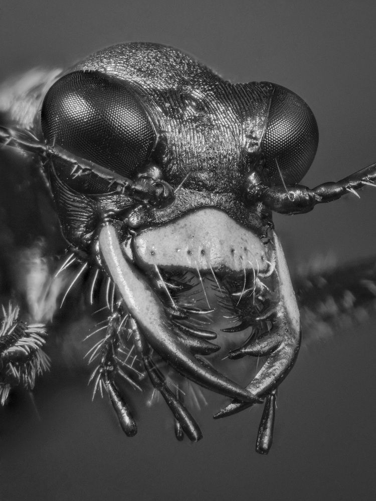 Photograph by Юрий Юрьевич Подгрушный