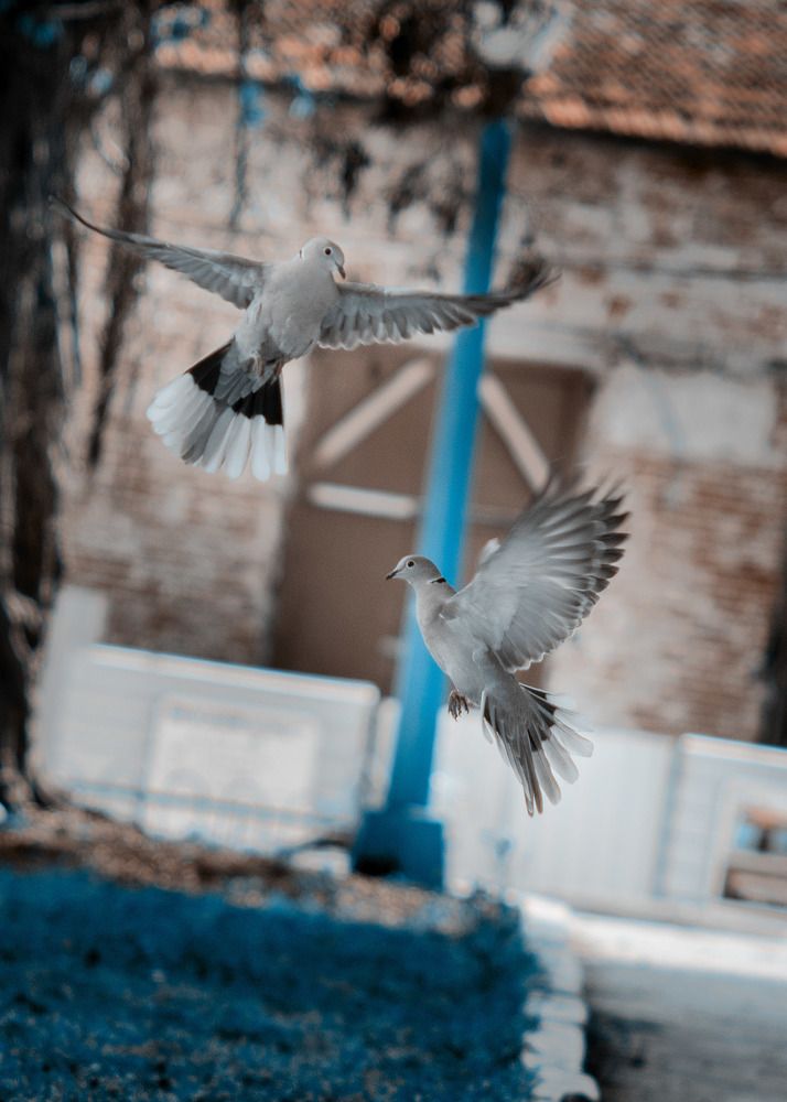 Photograph by Juan Javier Medina Pereira