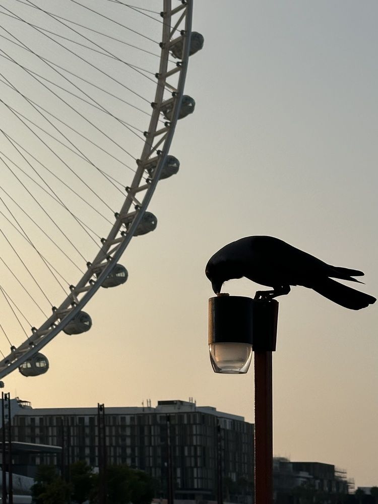 Photograph by Анастасия Конина