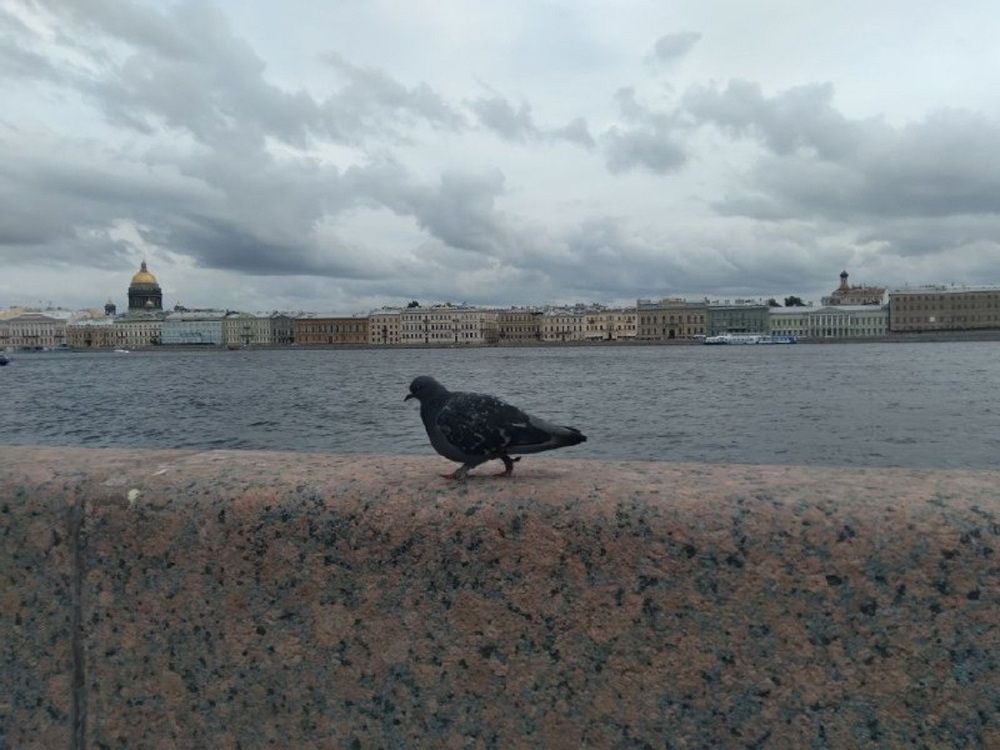 Photograph by Ася Кузьмина