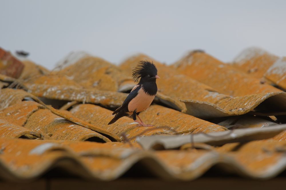 Photograph by Антон Громов