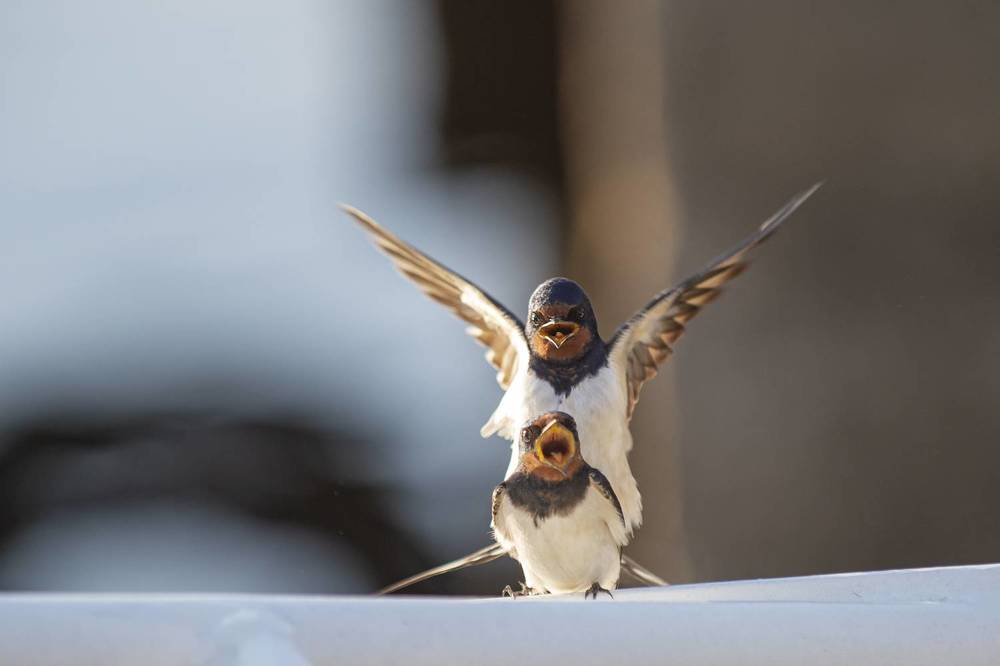 Photograph by Кулаков Юрий