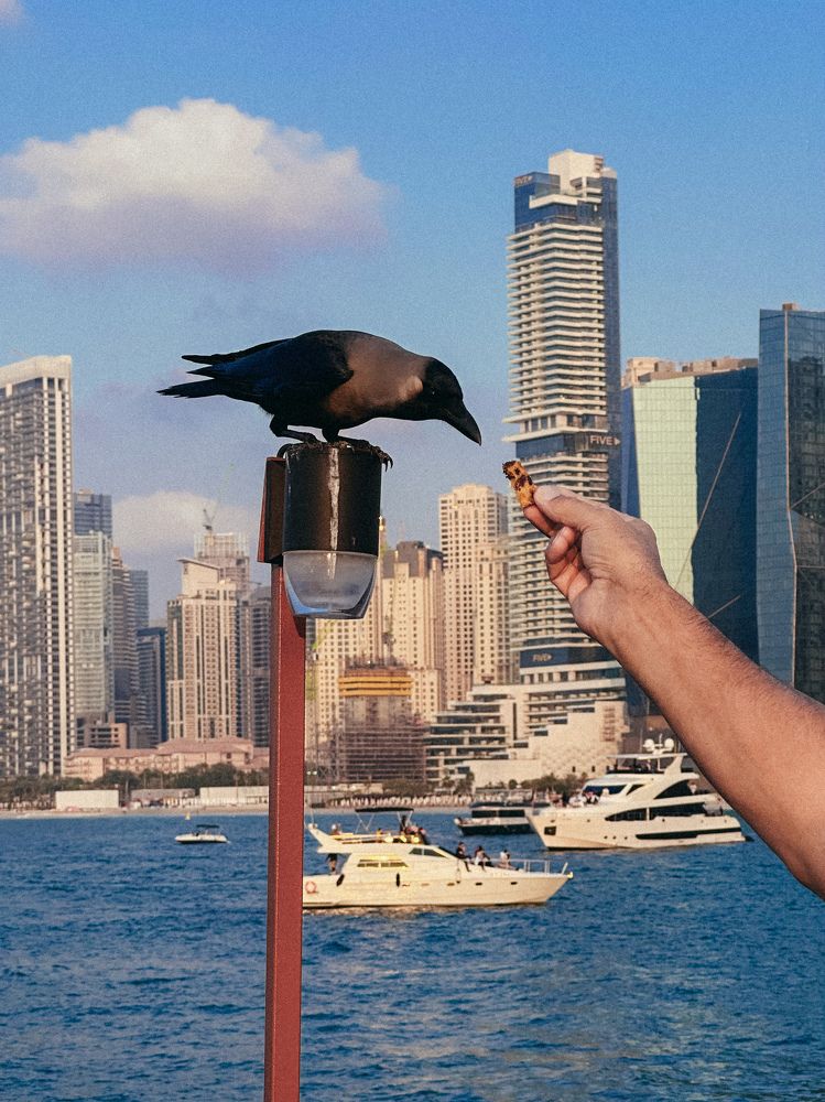 Photograph by Анастасия Конина