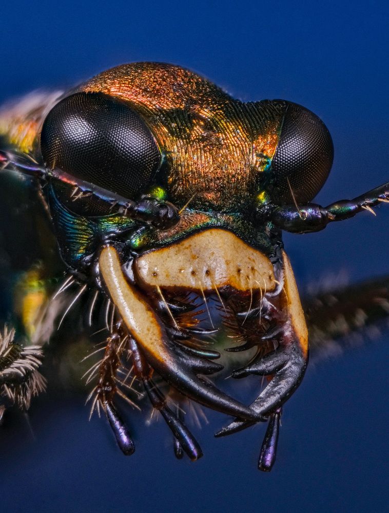 Photograph by Юрий Юрьевич Подгрушный