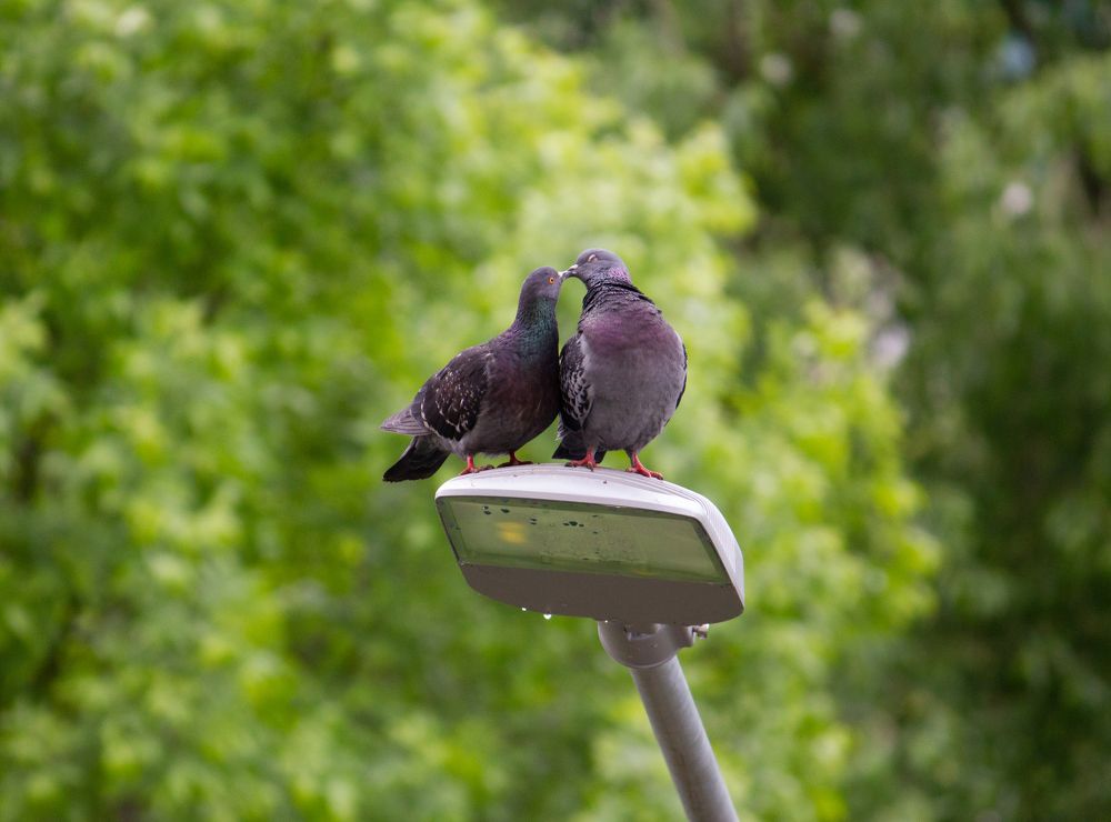 Фотография автора Оксана Сырчина