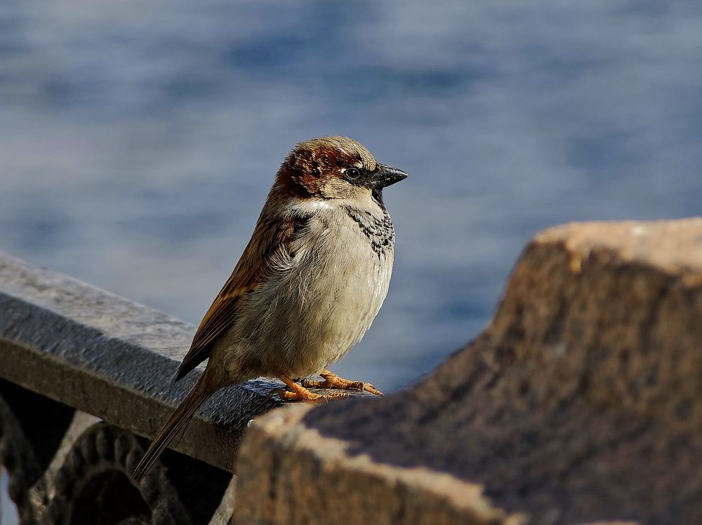 Photograph by Андрей Панин