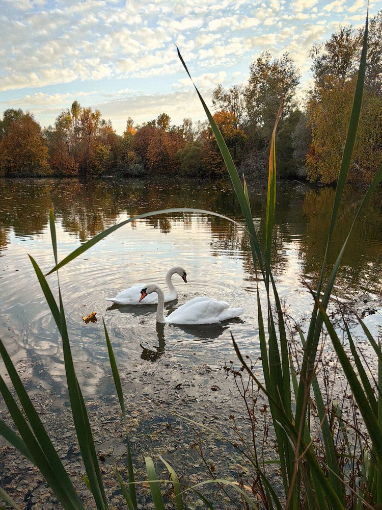 Photograph by Ольга Карева