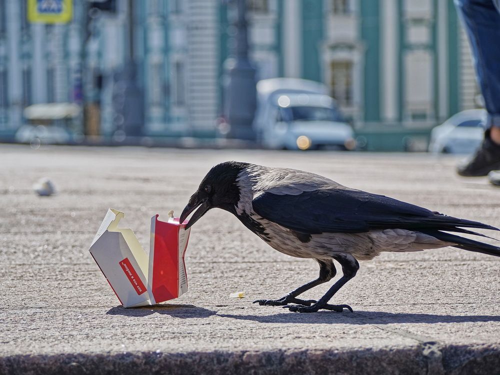 Photograph by Андрей Панин