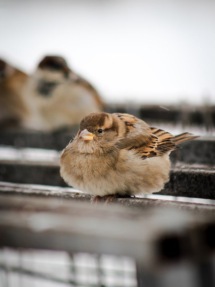 Photograph by Георгий Юркин