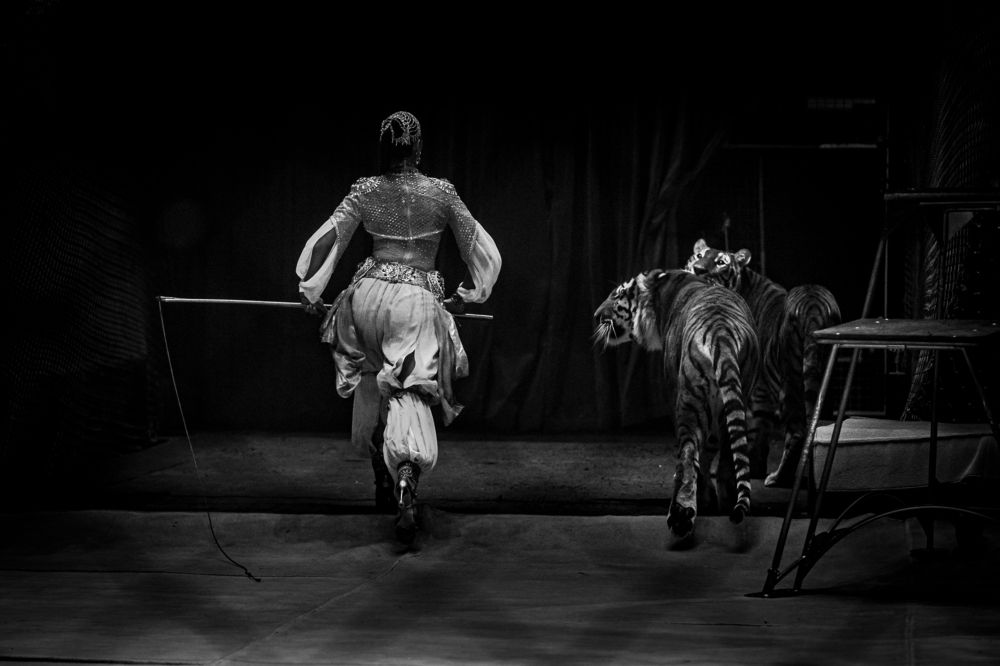 Photograph by Ольга Пачина