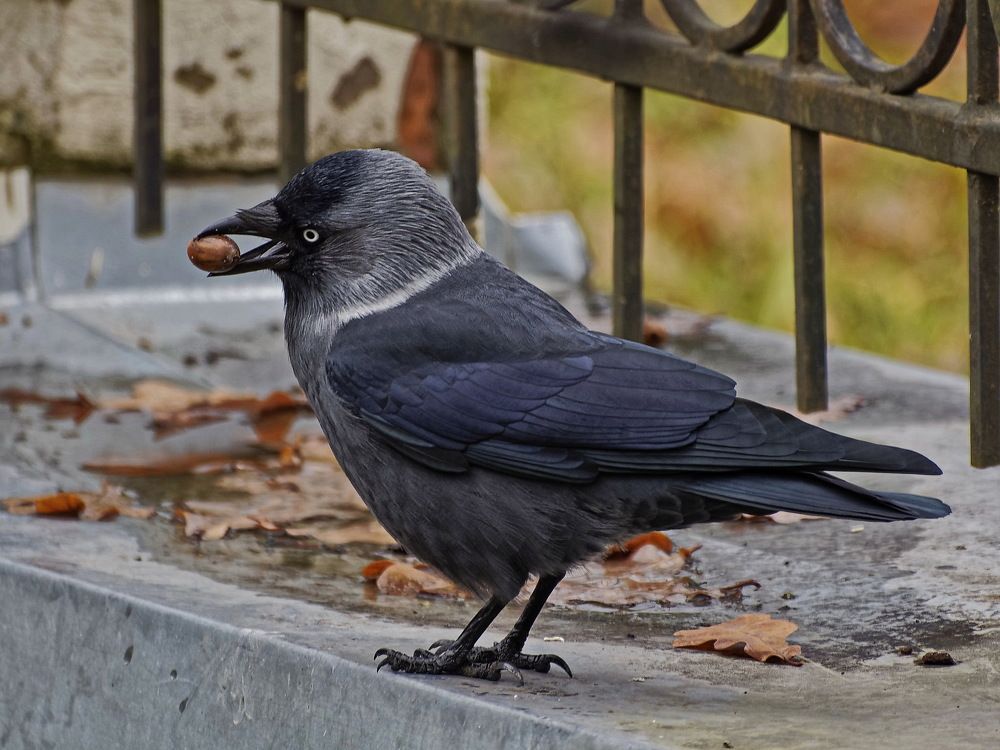 Photograph by Андрей Панин