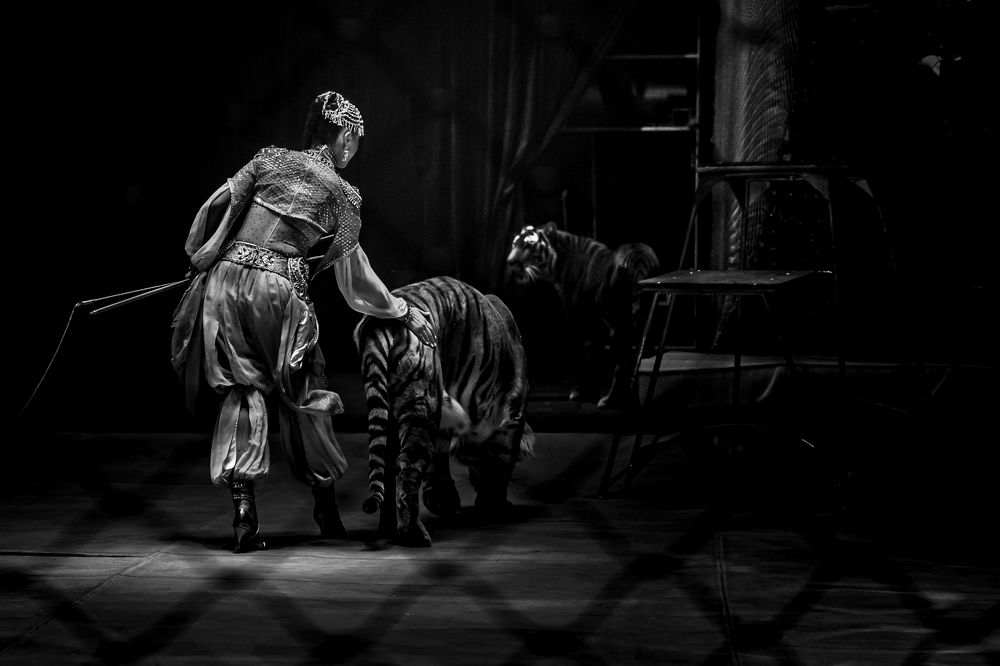 Photograph by Ольга Пачина