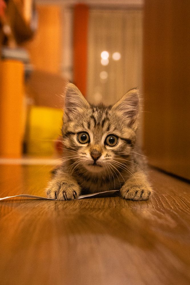 Photograph by Юлия Ташлыцкая