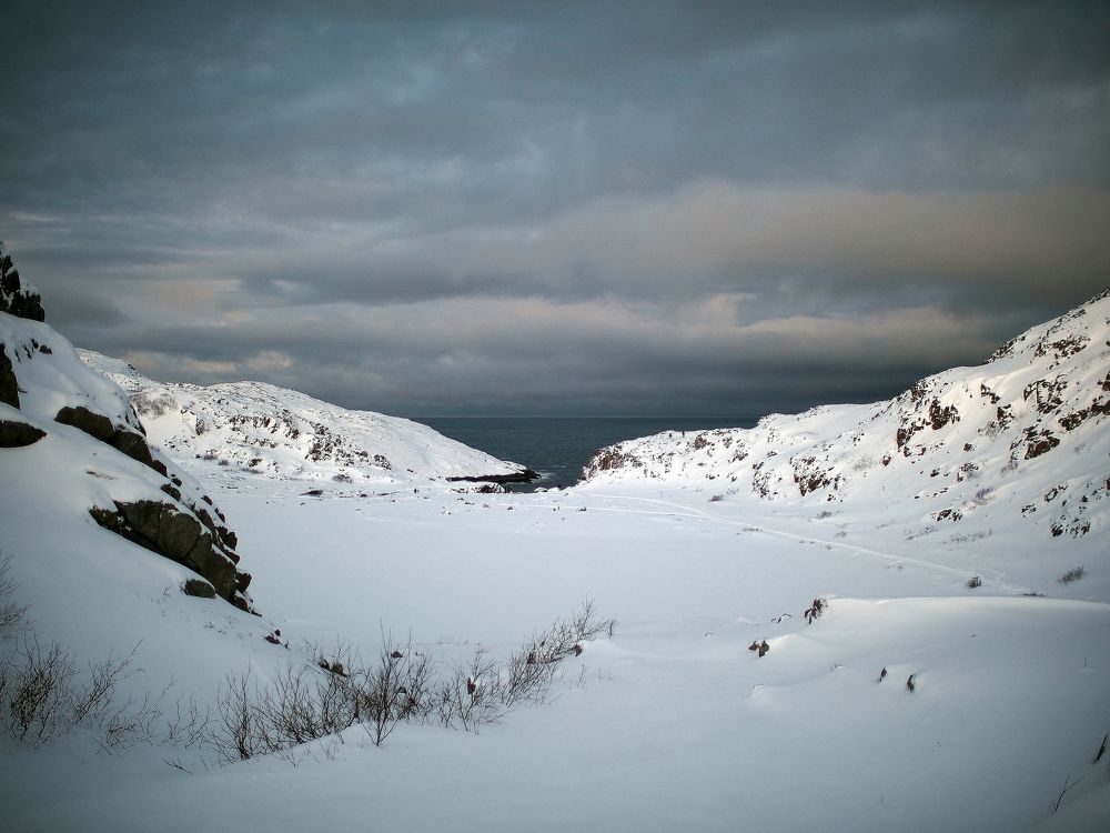 Photograph by Алексей Серпов