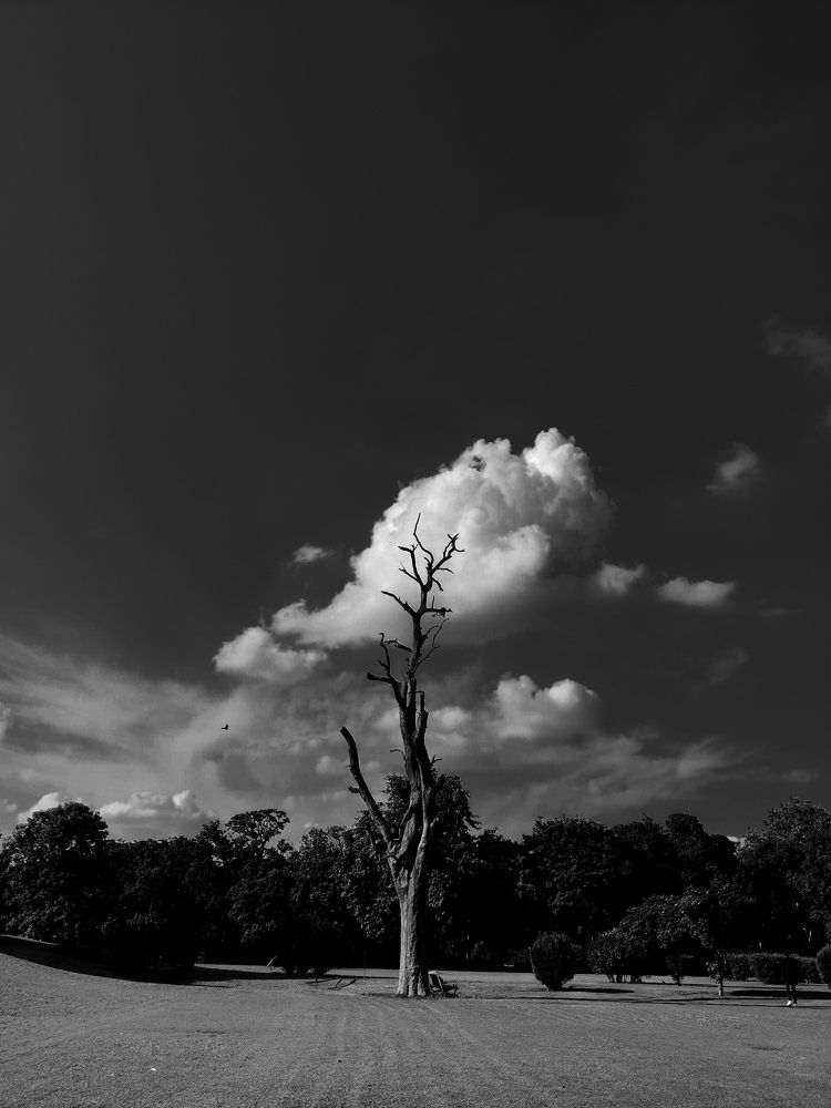 Photograph by Aadarsh choudhary