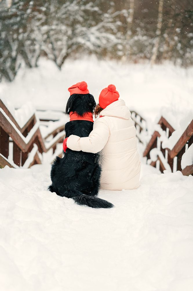 Фотография автора Анжелика