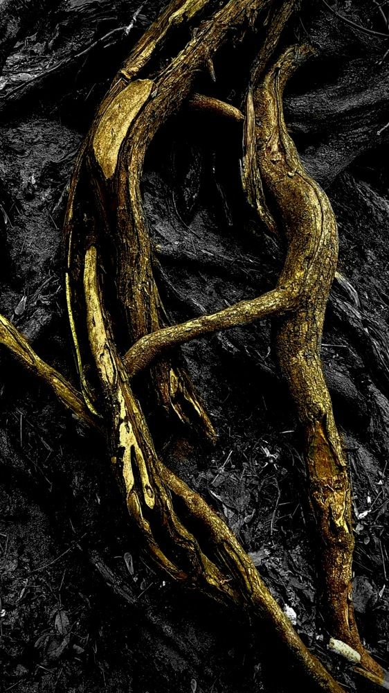 Photograph by Егор Жук