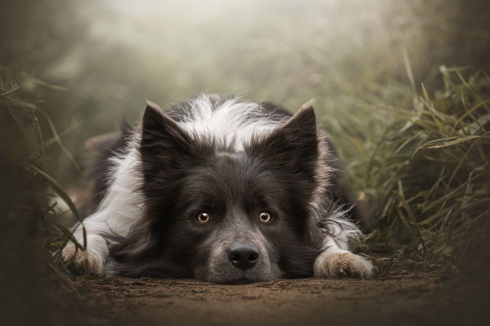 Photograph by leticia pascual garcia