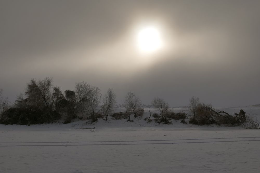 Фотография автора Наталья Яковлева