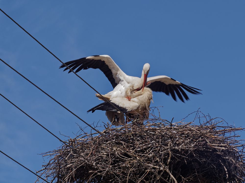 Photograph by Андрей Панин