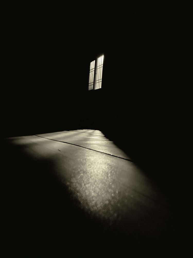 Photograph by Aadarsh choudhary