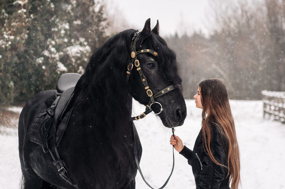 Фотография автора Татьяна Чапко