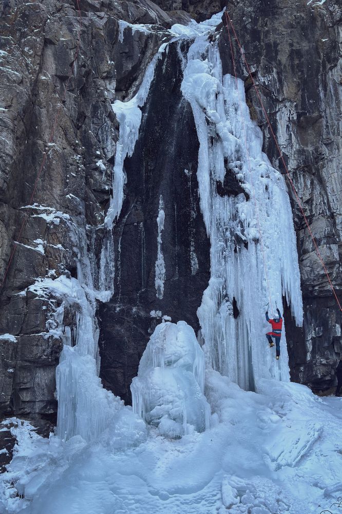 Фотография автора Наталья Яковлева