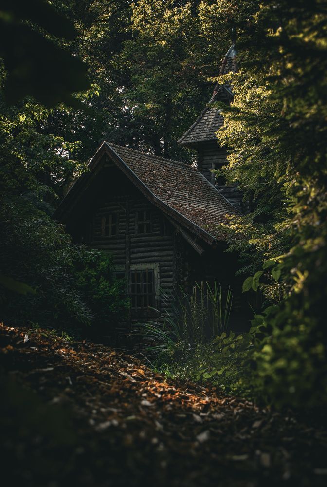 Фотография автора Miskolczi Zalán