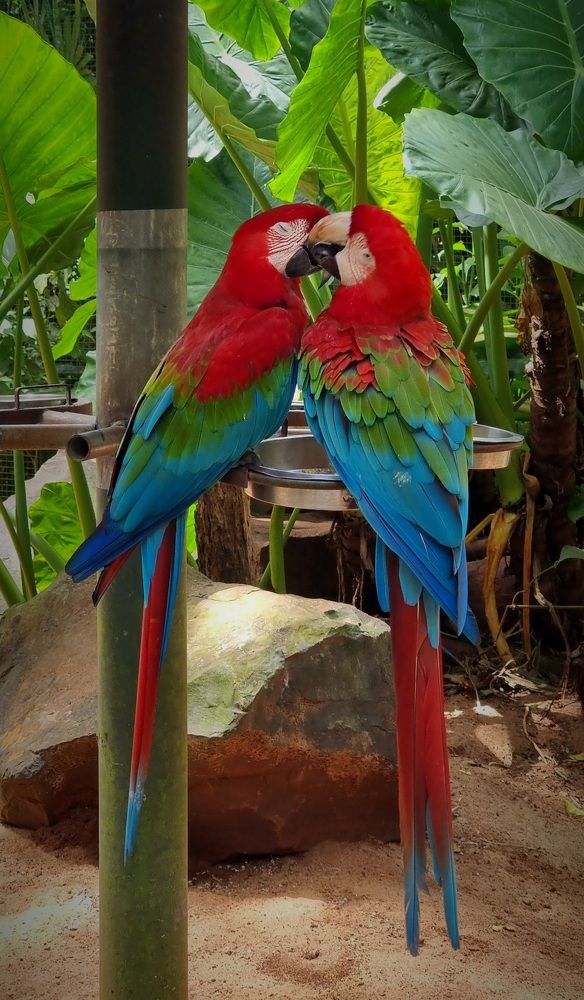 Photograph by Gr Marie