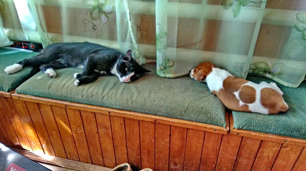 Фотография автора Сергей Тимофеев