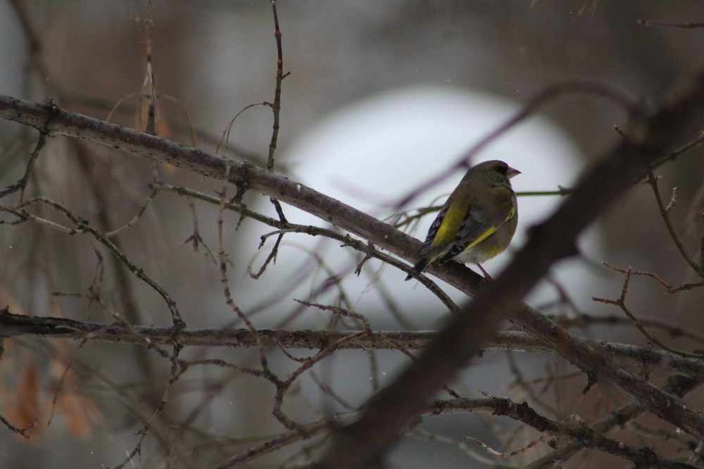 Photograph by Анна